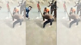 Revoltă după ce un video în care un delfin este omorât în bătaie s-a viralizat. Trei bărbați au fost arestați